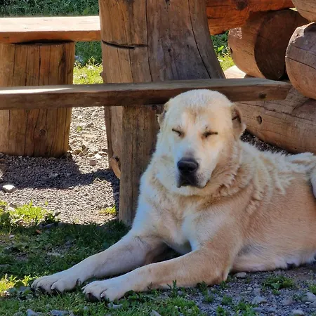 Gazdovsky Dvor - Sedlo Chlipavica Feriegård