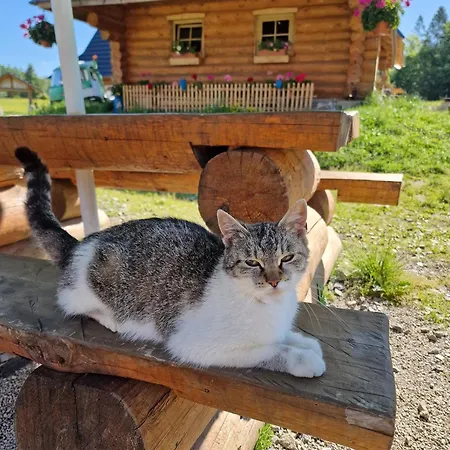 Gazdovsky Dvor - Sedlo Chlipavica Feriegård