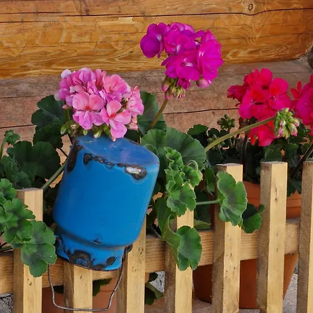 Gazdovsky Dvor - Sedlo Chlipavica Pohronska Polhora