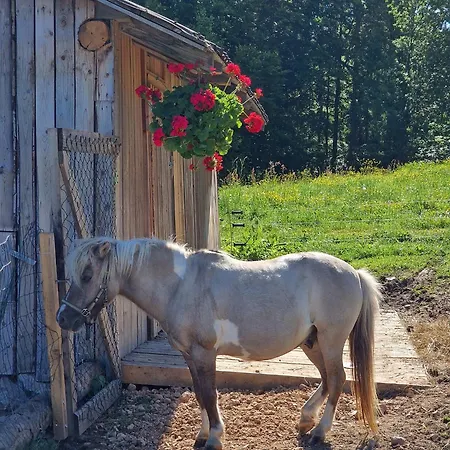 Gazdovsky Dvor - Sedlo Chlipavica Feriegård *