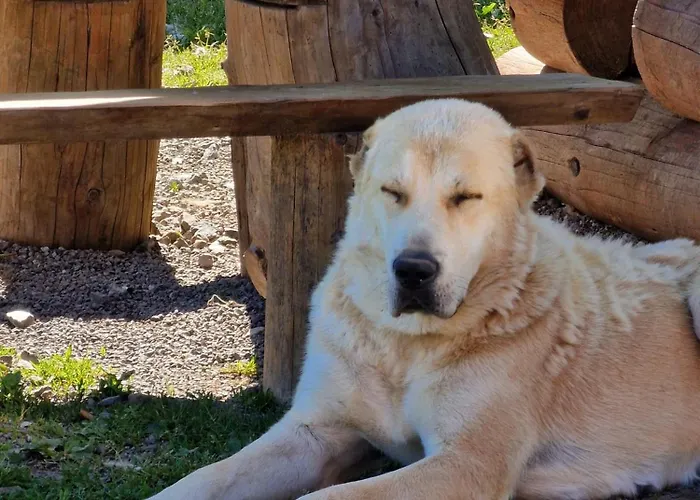 Gazdovsky Dvor - Sedlo Chlipavica Alloggio per agriturismo