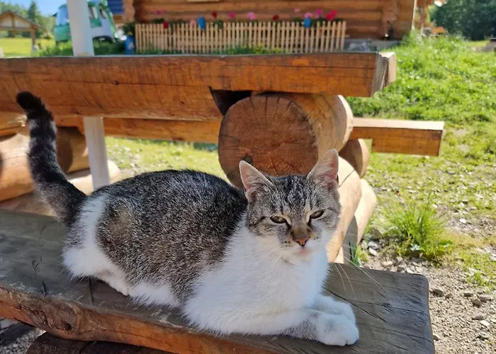 Gazdovsky Dvor - Sedlo Chlipavica Alloggio per agriturismo