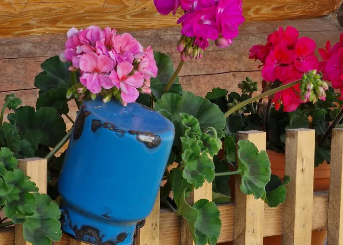 Gazdovsky Dvor - Sedlo Chlipavica Pohronska Polhora