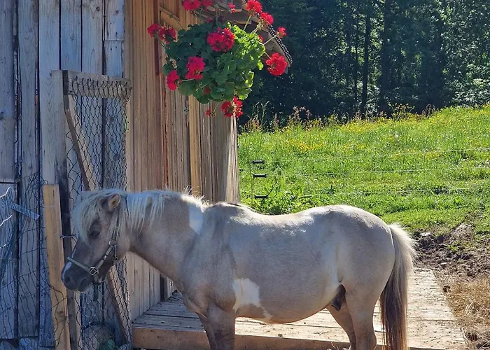Gazdovsky Dvor - Sedlo Chlipavica Agroturismo *